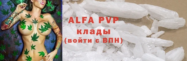 шишки Горнозаводск