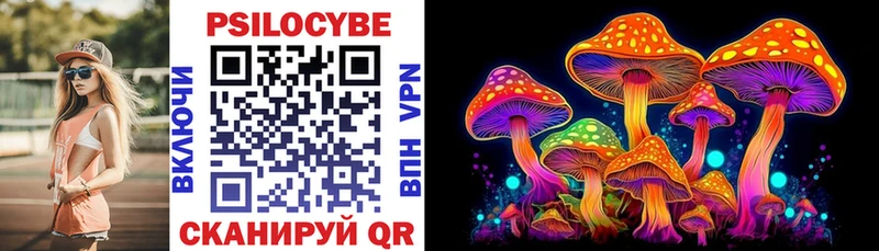 Псилоцибиновые грибы Psilocybe Кяхта
